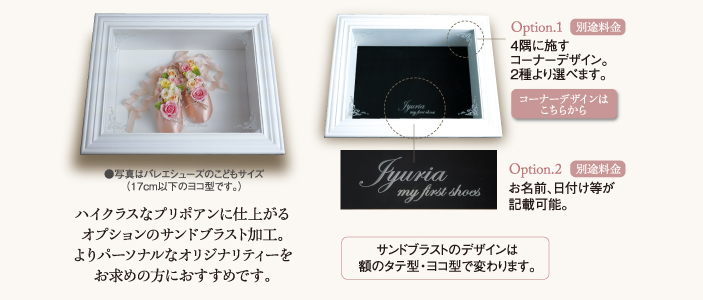 �v���|�A���I�v�V�����̂��Љ�